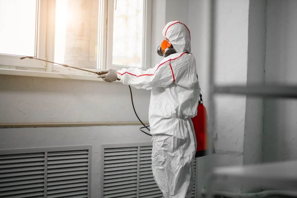 Professional mold remediation services in Sherman, TX